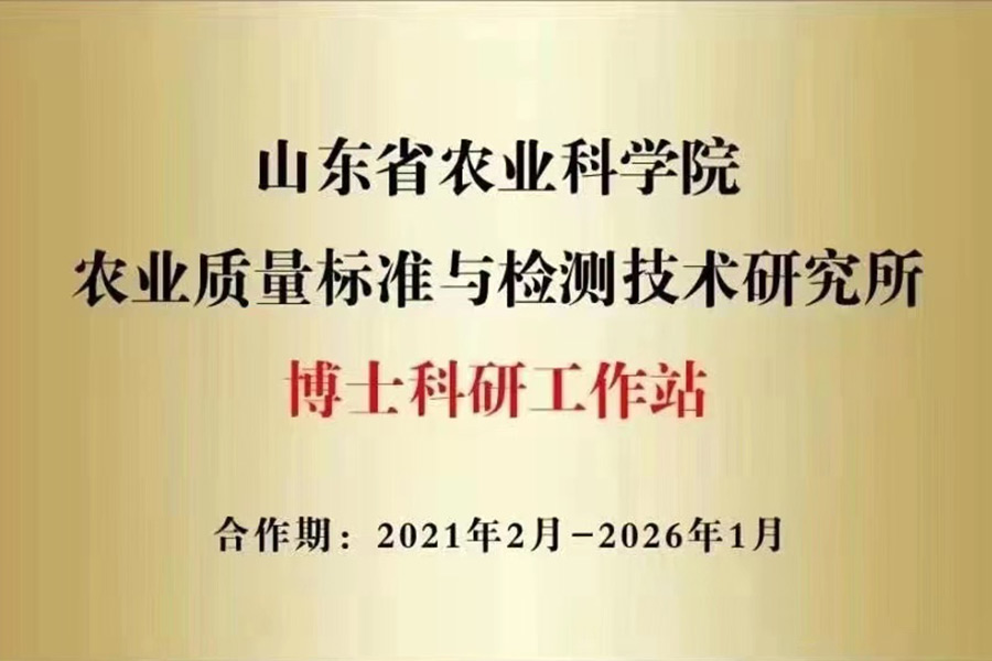 博士科研 工作站